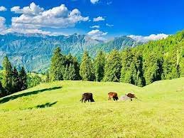 skyland upper dir