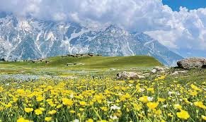 Chukial Maedows swat